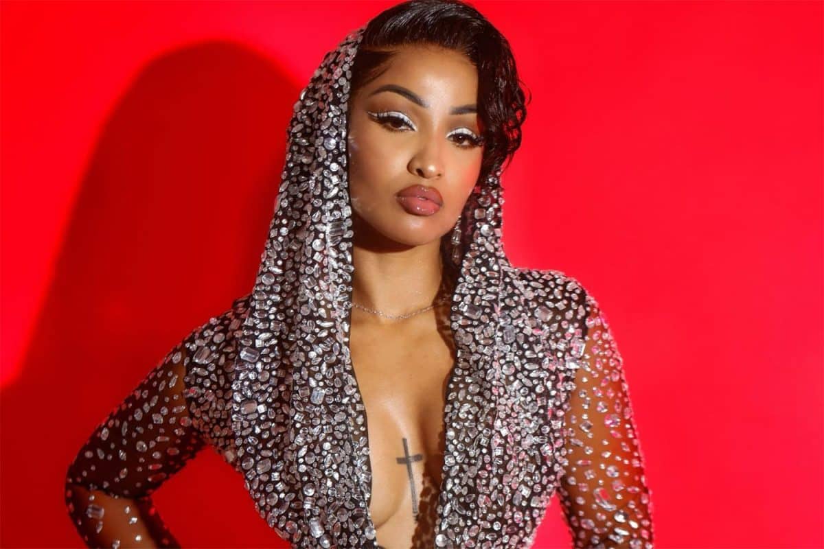 shenseea-serves-hot-moves-in-pink-see-through-mesh-dress