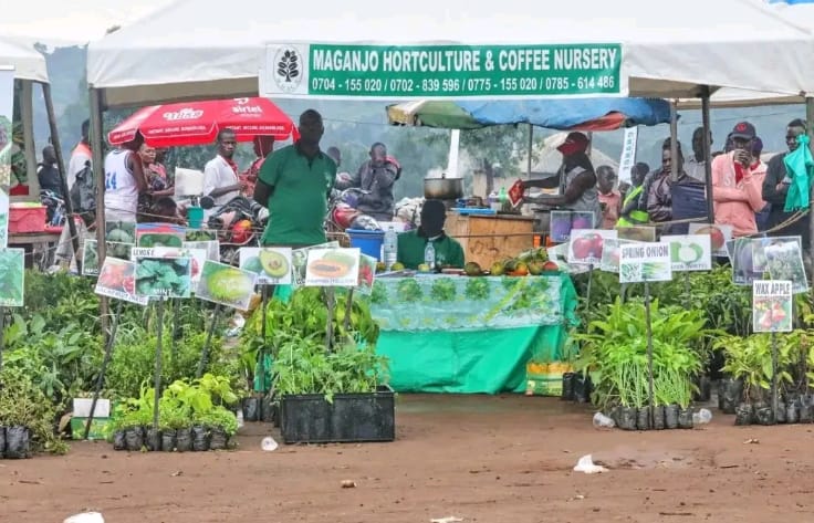prime-minister-robinah-nabbanja-applauds-gomba-district’s-thriving-agricultural-efforts