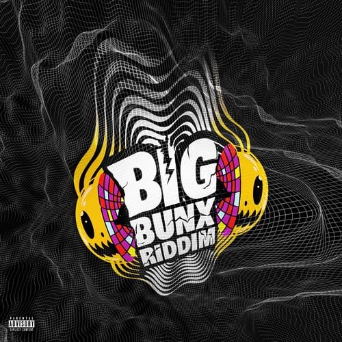 big-bunx-riddim-(promo)-–-zimi-ent