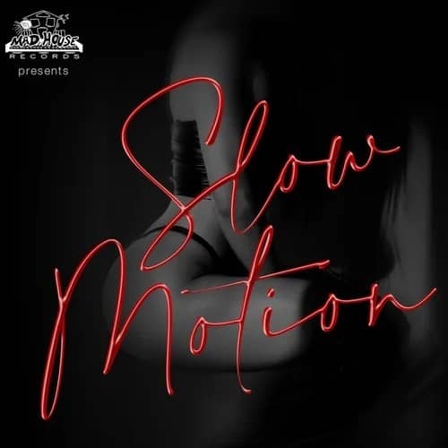 slow-motion-riddim-(full-promo)-–-madhouse-rec